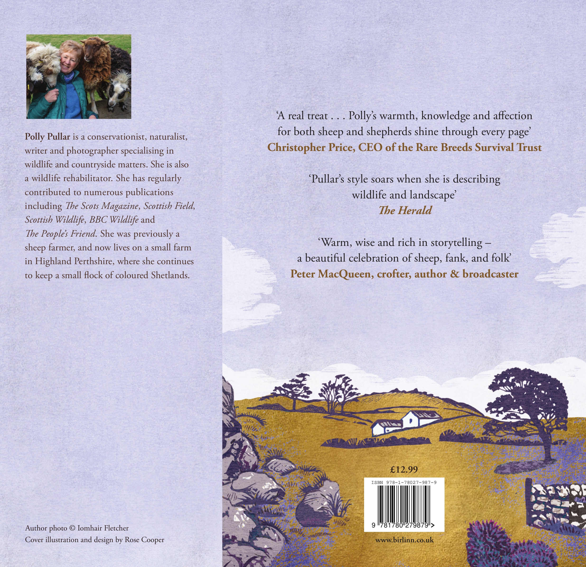 In the Company of Sheep - Image 3