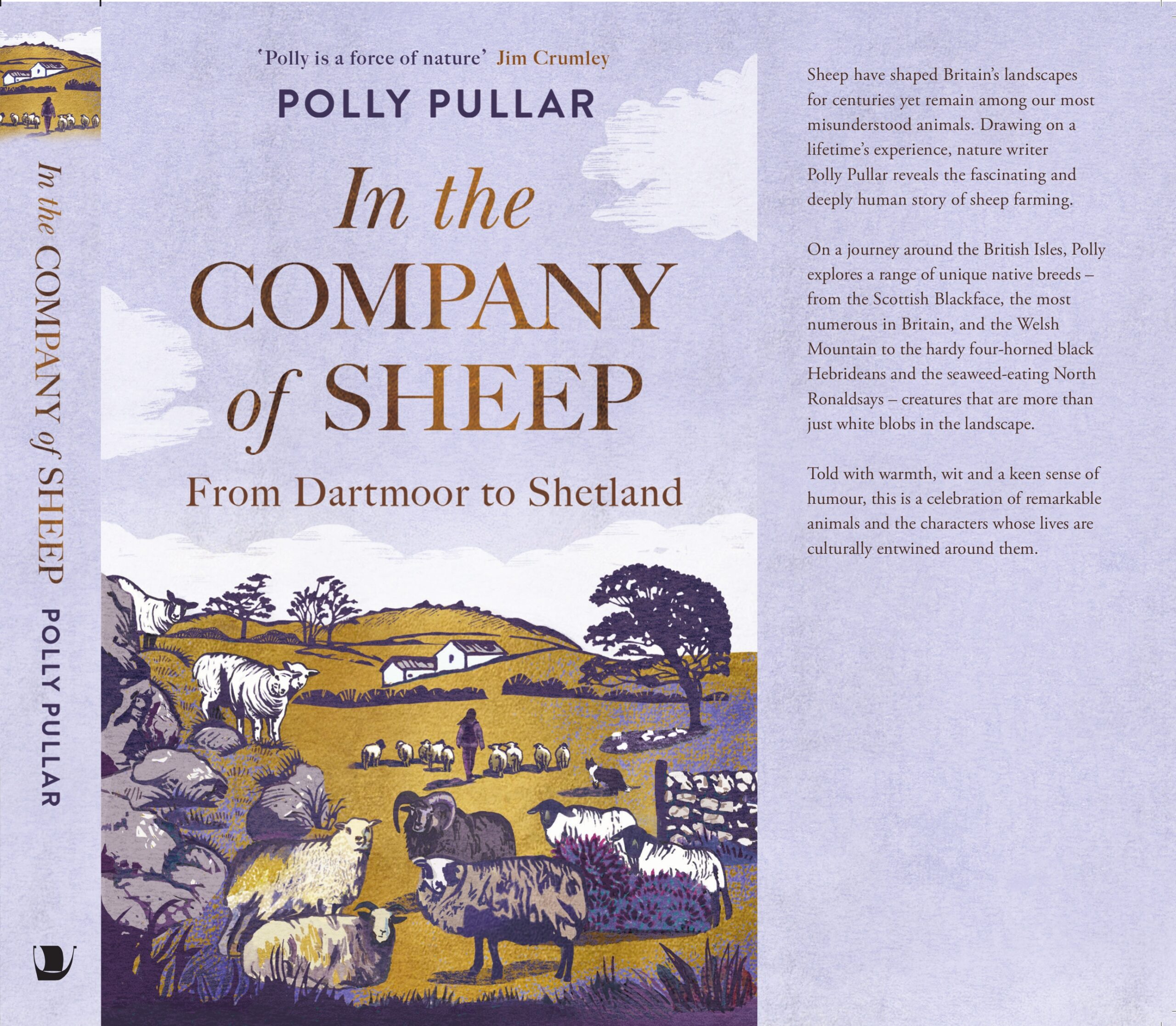In the Company of Sheep - Image 2
