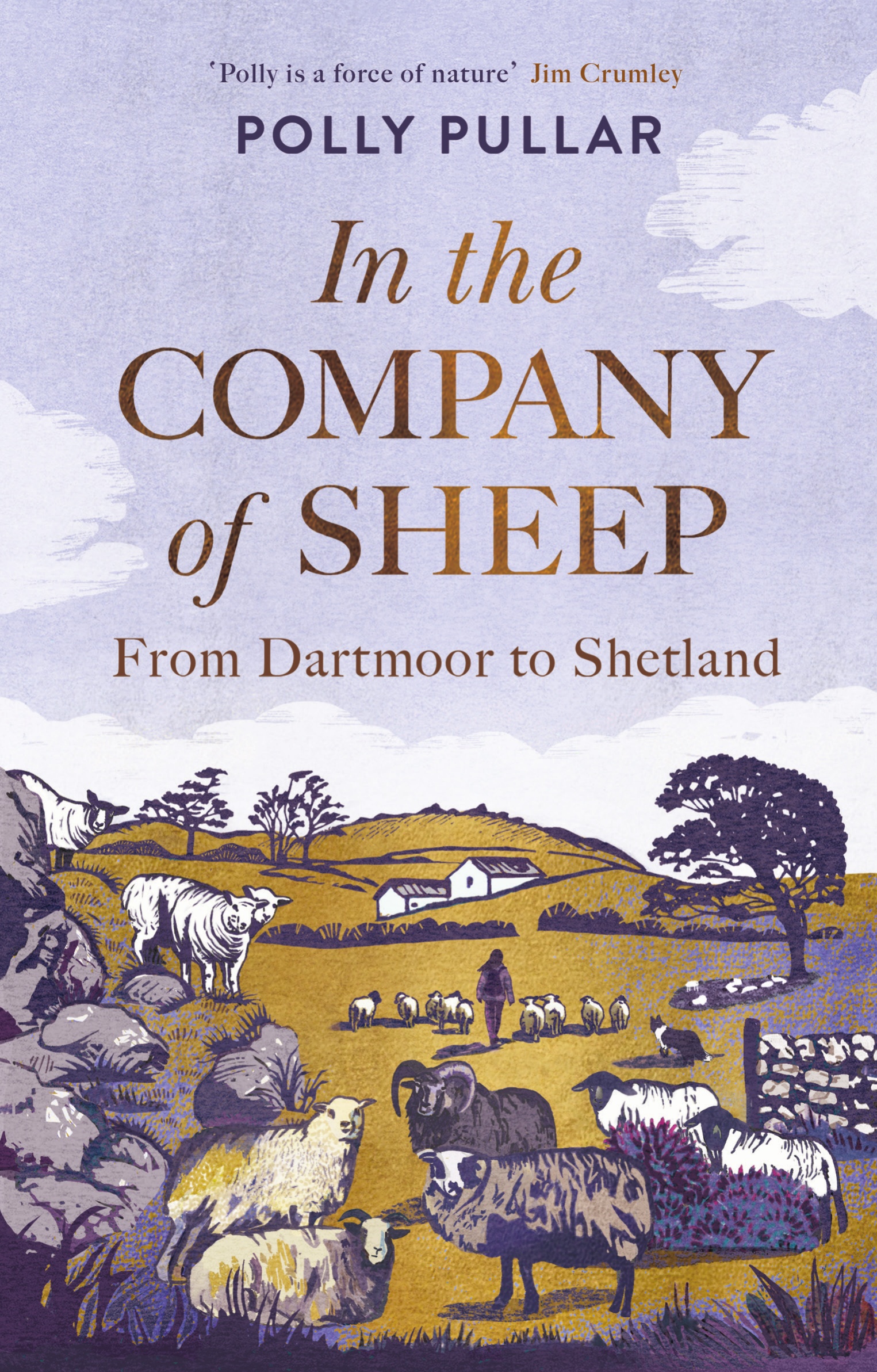 In the Company of Sheep